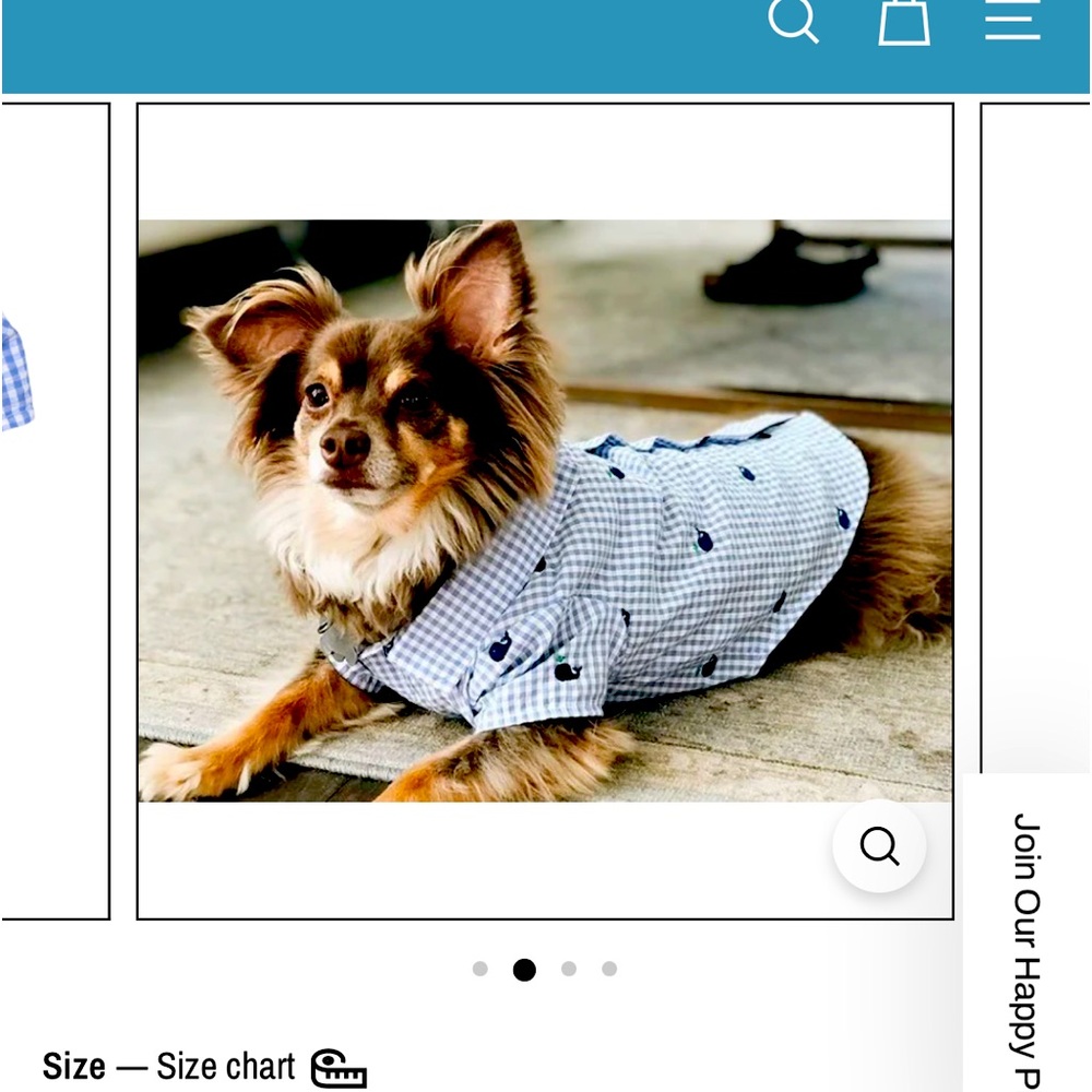 Dog shirt preppy